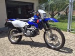 IMG_0371-drz.JPG