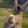 Benutzeravatar
